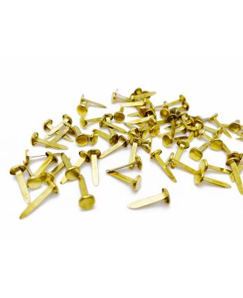 Brass Round Head Paper Fastener 1 Inch