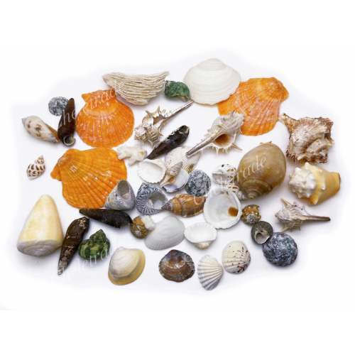 Craft Materials