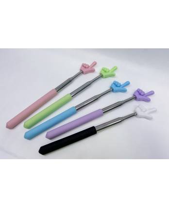 Extendable Hand Pointer